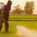 تعیین عوامل موثر بر عدم تمایل به کاربرد  سموم شیمیایی