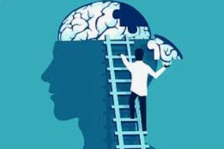 A Cognitive Profile of Primary School Children with Additional Health and Developmental Needs